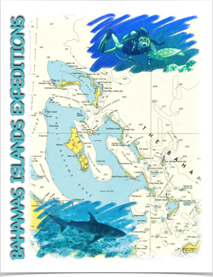 Exploring The Bahamas and their islands' shores and reefs. Exploring The Bahamas and their islands' shores and reefs.